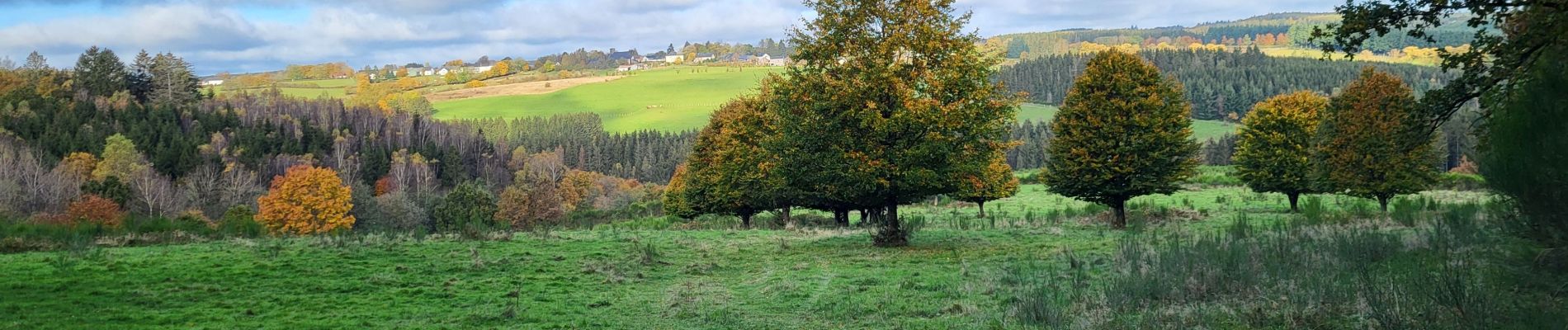 Tocht Stappen Fauvillers - Fauvillers 221024 - Photo