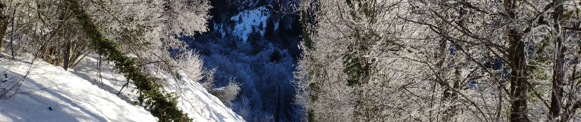 Percorso Marcia Jarsy - Bauges 2021 : Jarzy - Vallée du Chérant (glacée) - Replat d'en Haut vers le mont Pécloz (-12-21).ori - Photo