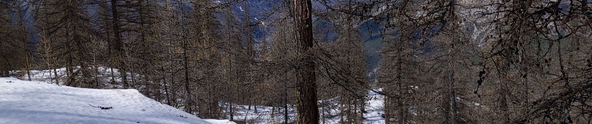 Randonnée Raquettes à neige Puy-Saint-Vincent - les têtes 18 03 2021 - Photo