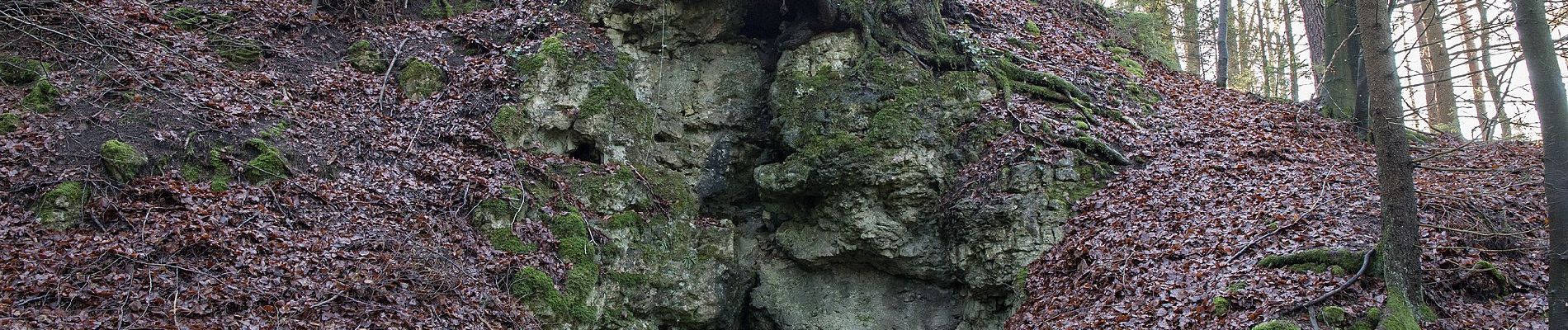 Tocht Te voet Etzelwang - Rundwanderweg 2 Rupprechtstein - Kirchenreinbach - Photo