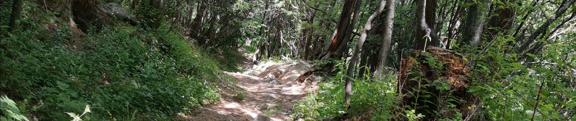 Tocht Stappen Allos - Lac des grenouilles  - Photo