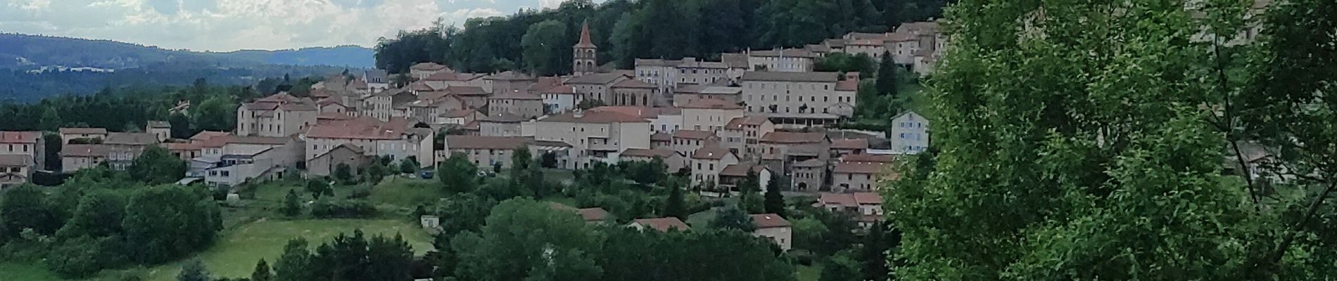 Tour Wandern Allègre - mont bar - Photo