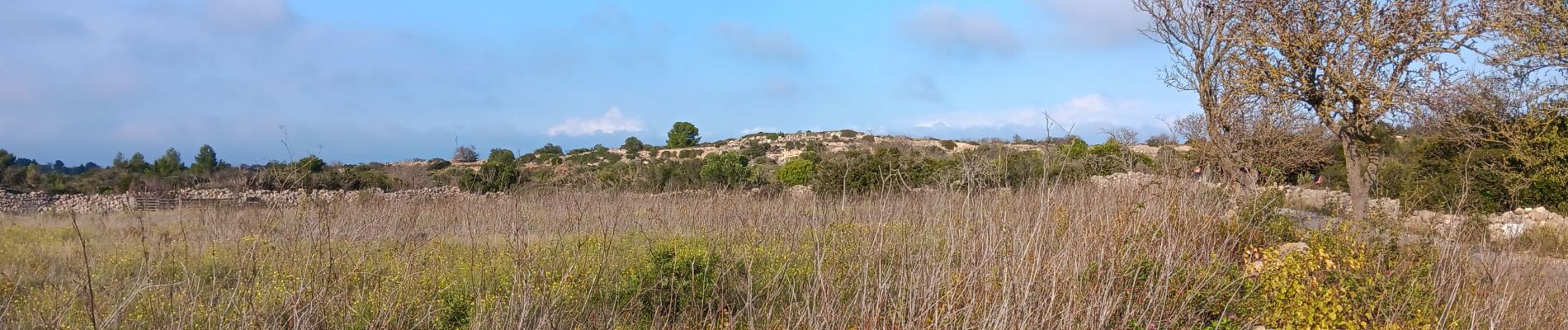 Tour Wandern Leucate - plateau de leucat sud-est sans grand route  - Photo