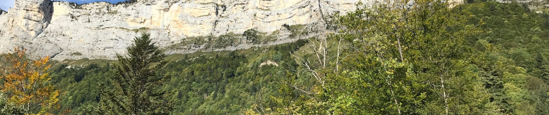 Tour Wandern Plateau-des-Petites-Roches - Piton de Bellefond - Photo