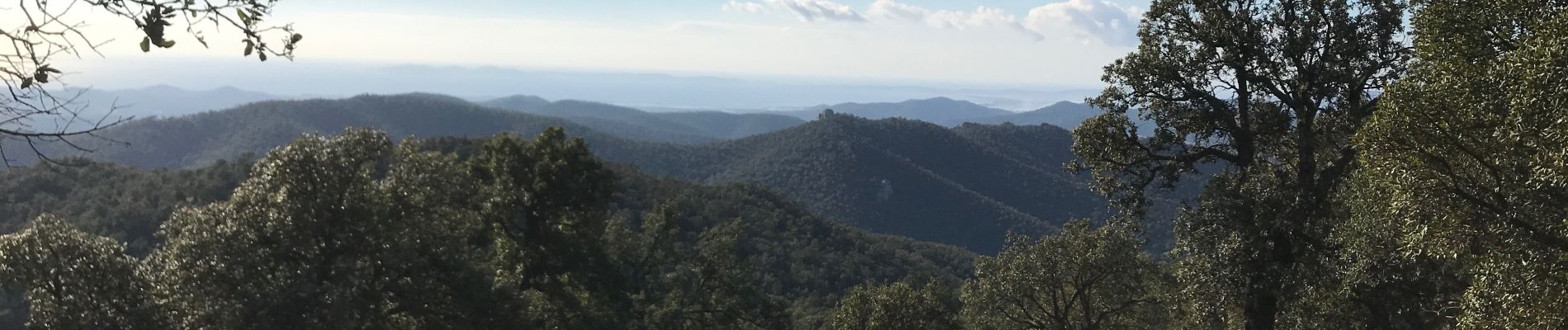 Tour Wandern Pierrefeu-du-Var - Pierrefeu -temple- Bourjas par Ponseur - Photo