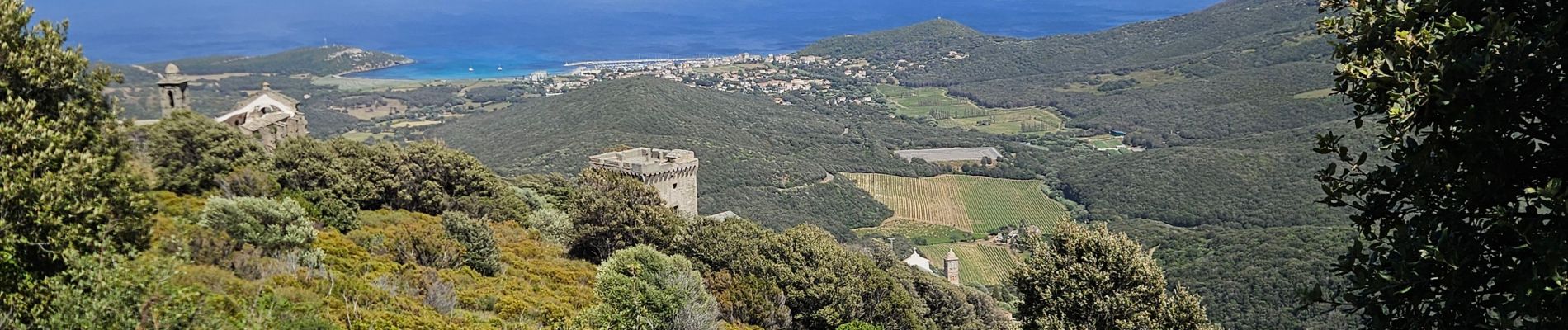 Randonnée Marche Rogliano - les hauts de ruglianu - Photo