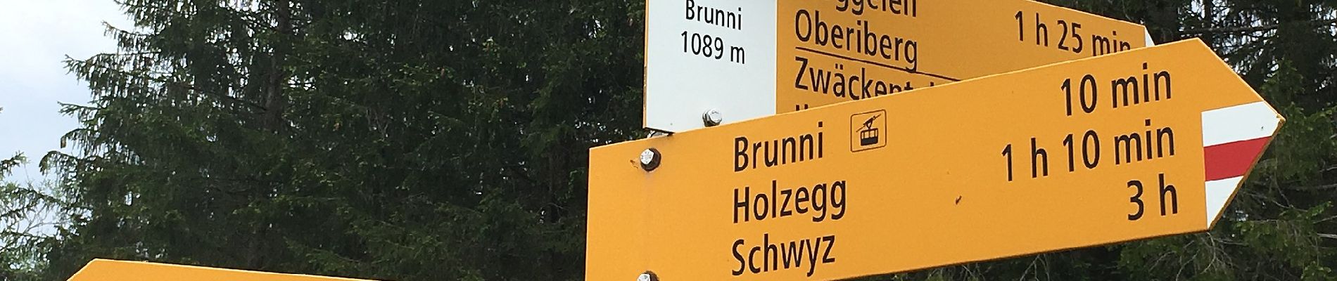 Percorso A piedi Alpthal - Brunni - Muesliegg - Photo
