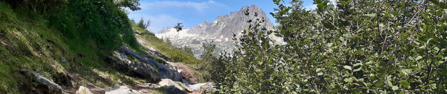 Excursión Senderismo Chamonix-Mont-Blanc - le Péclerey, montroc jusqu'aux Tines juillet 2021 - Photo