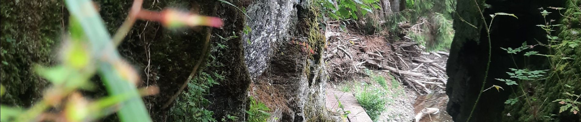 Excursión Senderismo Bertrix - la roche percée  - Photo