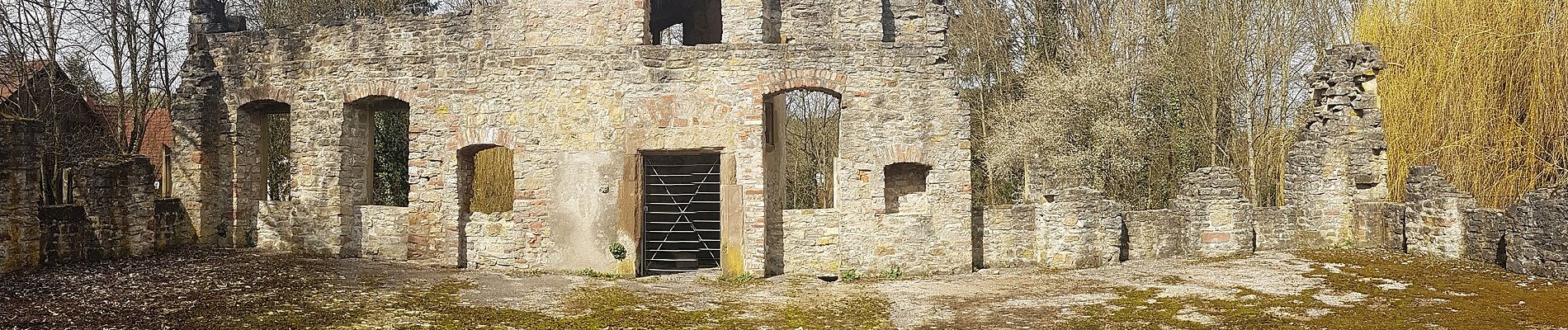 Tour Zu Fuß Epfenbach - Rundwanderweg Epfenbach 2: Waschauf-Weg - Photo