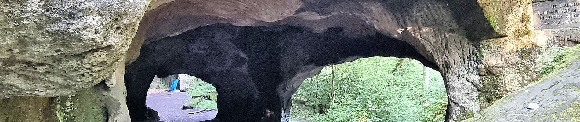 Randonnée A pied Echternacherbrück - Felsenweg 1 - Photo