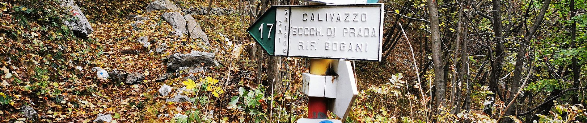 Trail On foot Mandello del Lario - Mandello - Bocchetta di Prada - Photo