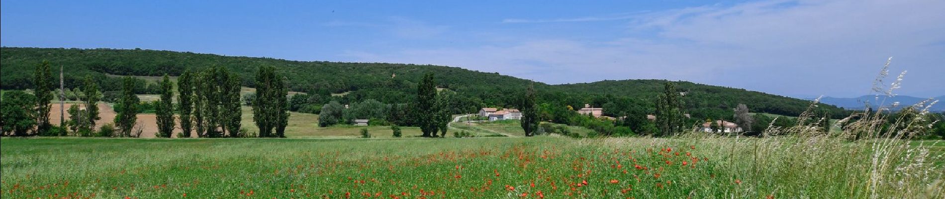 Randonnée Marche Portes-en-Valdaine - Portes-en-Valdaine : Fournat et Chatelard 10km - Photo