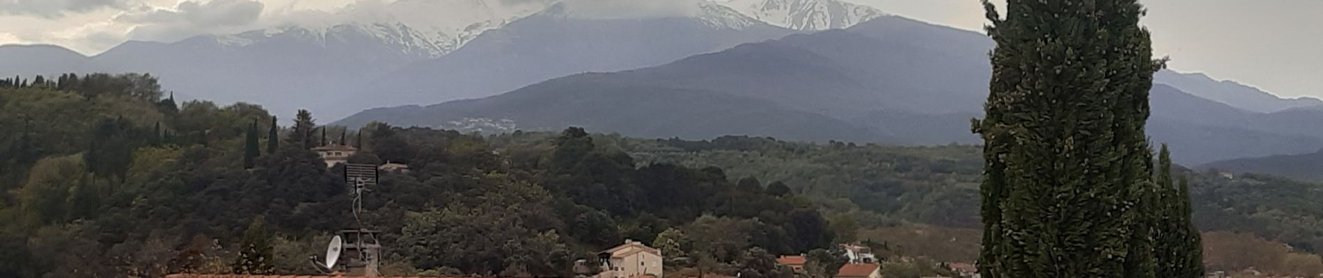 Tocht Stappen Céret - mon balcon de Céret - Photo