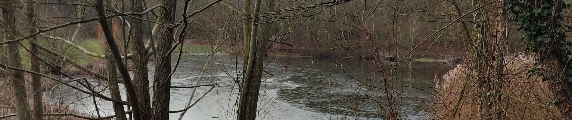 Randonnée Marche Clamart - La forêt de Meudon - Photo