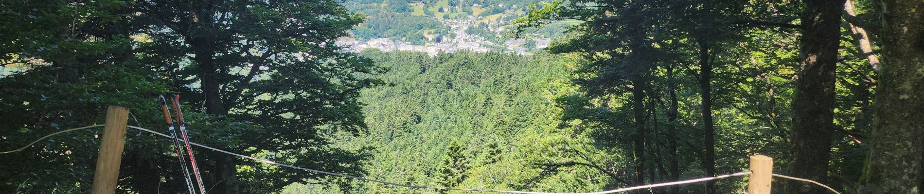 Tocht Trail La Bourboule - la bourboule,  le vendeix, la roche de l'aigle  - Photo