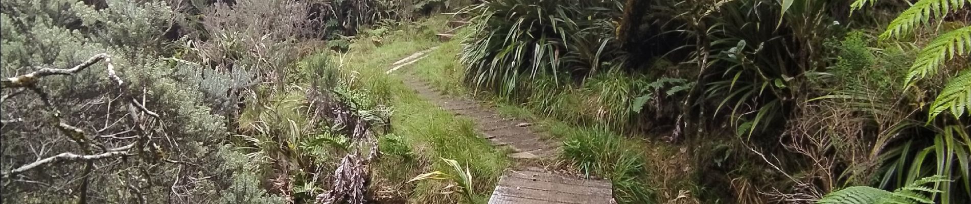 Tocht Stappen Salazie - Tour du Piton des Neiges par le petit GRR1 / J4 - Photo