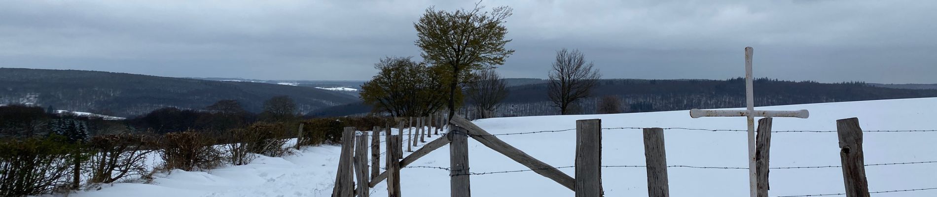 Tocht Stappen Spa - Source de Géronstère - Creppe - Photo