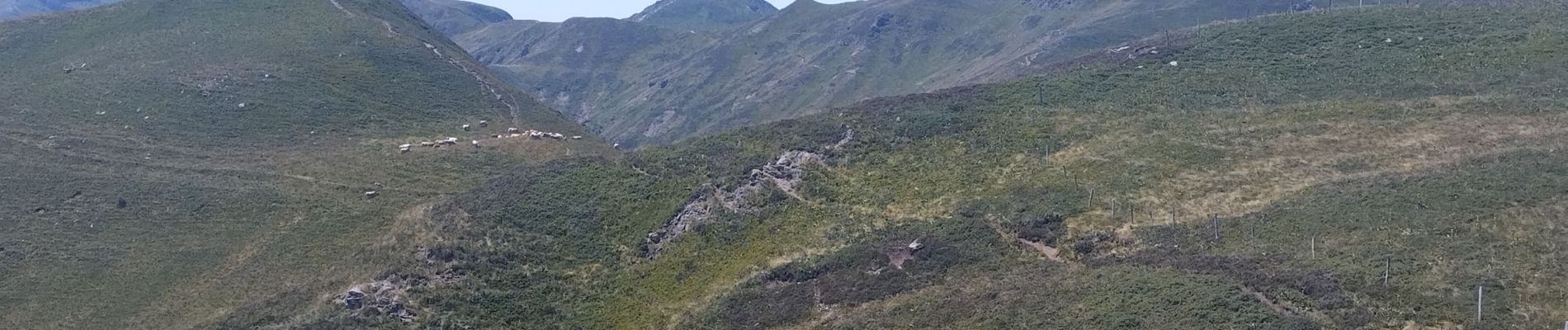 Randonnée Trail Laveissière - Puy de Peyre Arse/ Puy Bataillouse / Téton de Vénus et Rocher du bec de l'aigle  - Photo