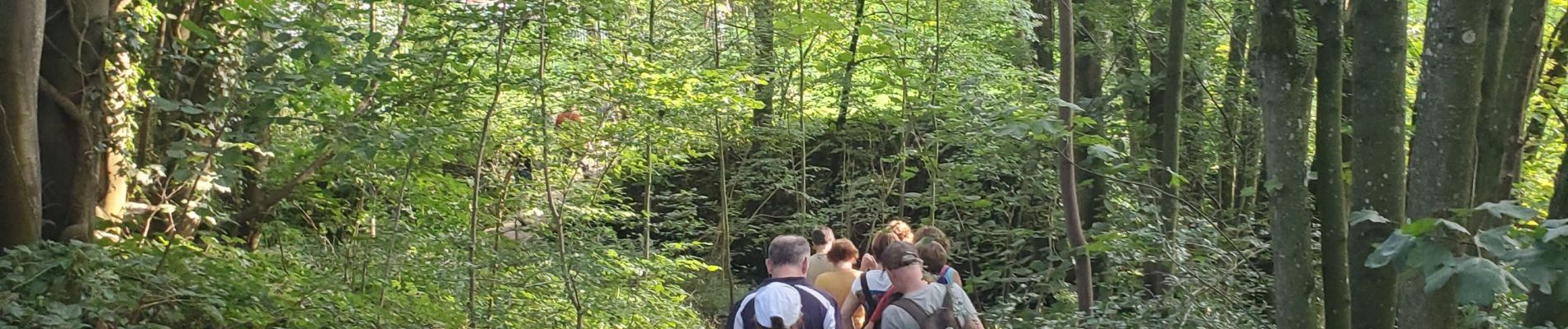 Excursión Marcha nórdica Neupré - gxc - Photo