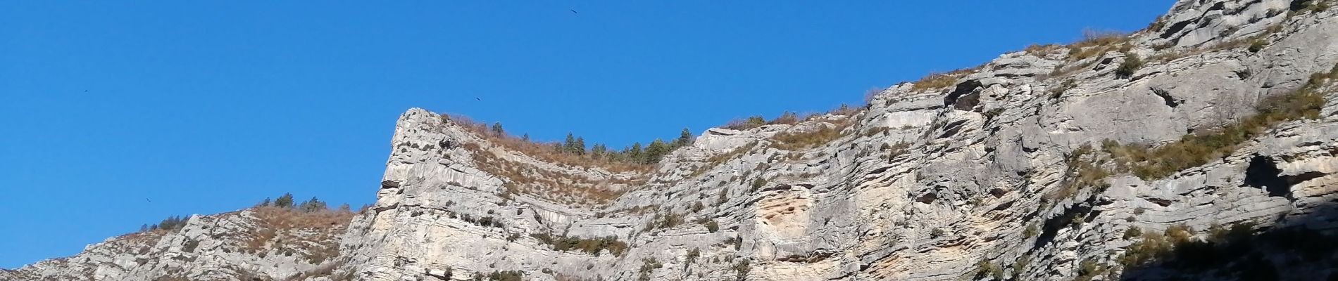 Tocht Stappen Rémuzat - le mont rond - Photo