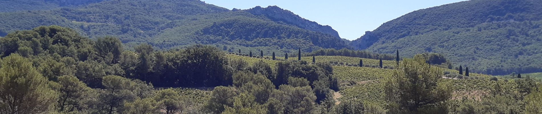 Excursión Senderismo Séguret - Seguret Royère Sourde - Photo