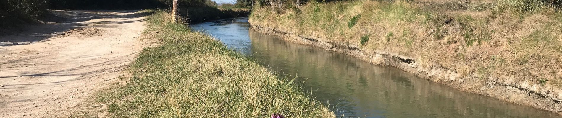 Randonnée Marche Aureille - Canal des Baux à Partir d’Aureille - Photo