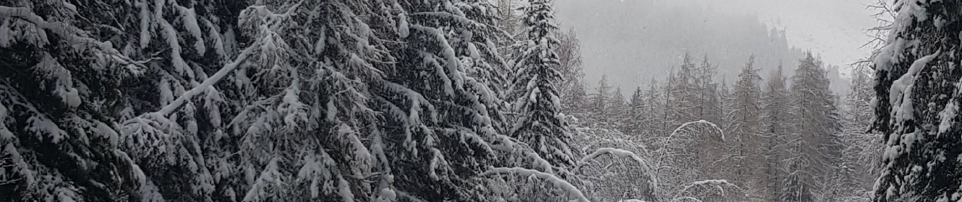 Tocht Sneeuwschoenen Champagny-en-Vanoise - pralongnan - Photo