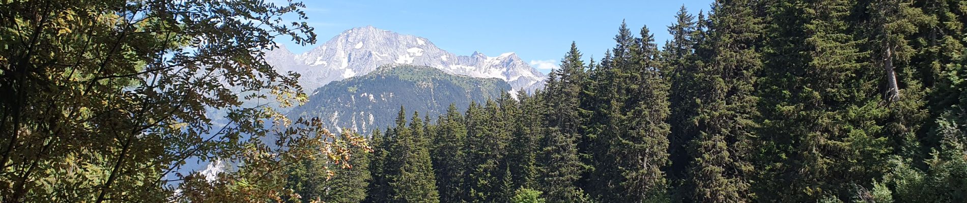 Tour Mountainbike Courchevel -  courchevel - Photo