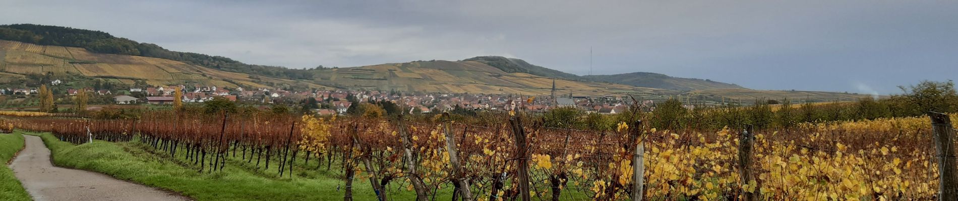 Tour Wandern Balbronn - 67 Balbronn marche pop.2019 - Photo