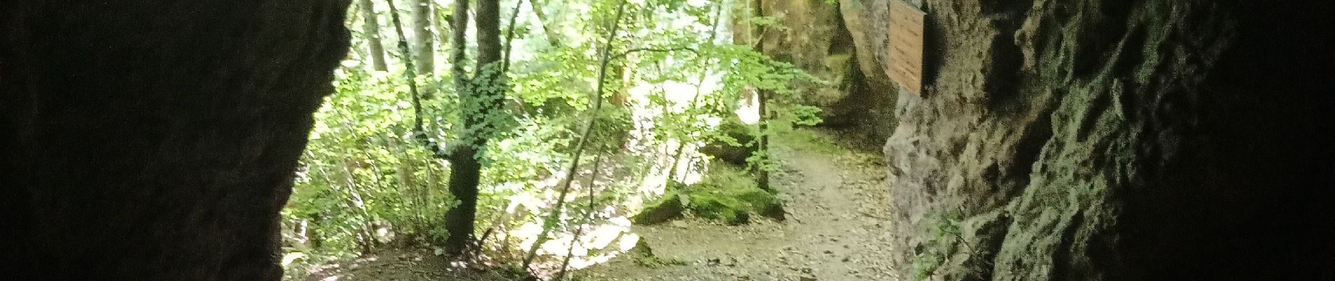 Trail Trail Vic-sur-Cère - Cascade, la Garde, grotte des anglais  - Photo