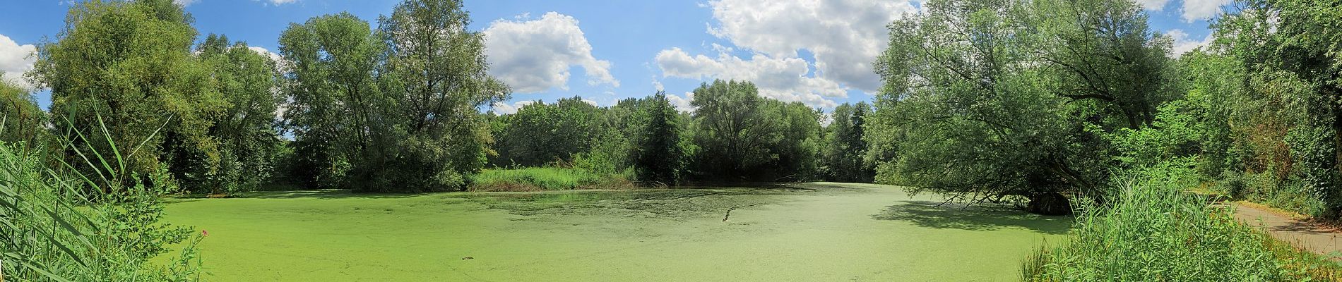 Tour Zu Fuß Unknown - Bodenkundlicher Lehrpfad Weiherfeld - Photo