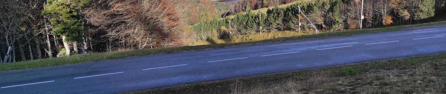 Tour Wandern Fellering - Markstein - Photo