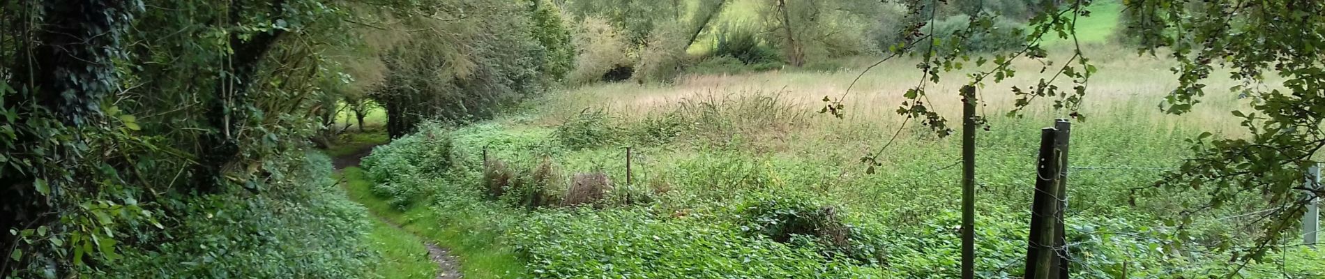 Randonnée Marche Tinlot - Ramelot  - Photo