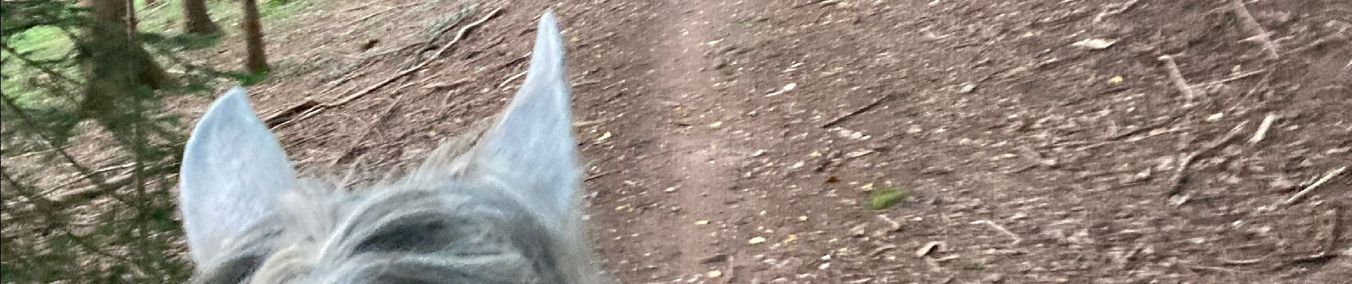 Tour Reiten Sankt Quirin - Rocher du diable Yoigo et Joyeux en main - Photo