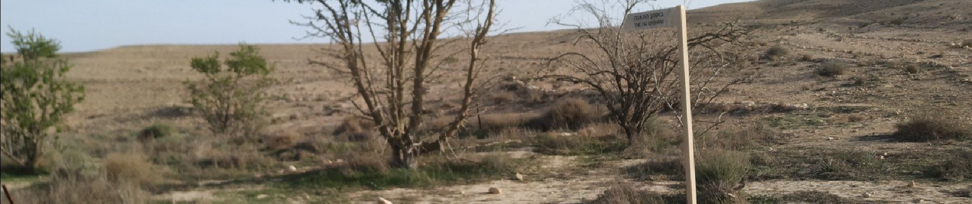 Trail On foot Ramat Negev Regional Council - Lots Cisterns circuit - Photo