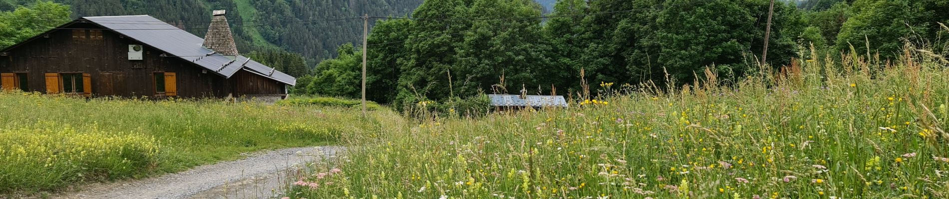 Tocht Stappen Les Houches - TMB 01 - Les Houches -> Les Contamines - Photo