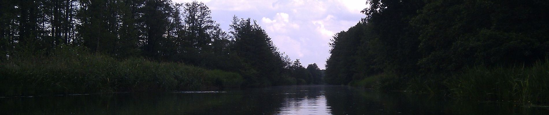 Tocht Te voet Lübben (Spreewald) - Rundwanderweg Batzlin - Photo