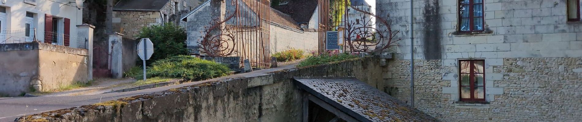 Randonnée Marche Saint-Georges-sur-Cher - Saint-Georges-sur-Cher - le Port Chissay-en-Touraine Moucherin - 5.5km 65m 1h05 - 2016 12 26 - Photo