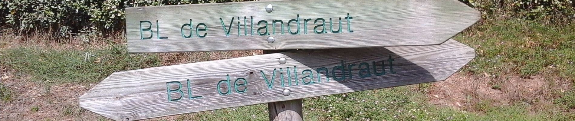 Tour Zu Fuß Villandraut - Boucle locale de Villandraut - Photo