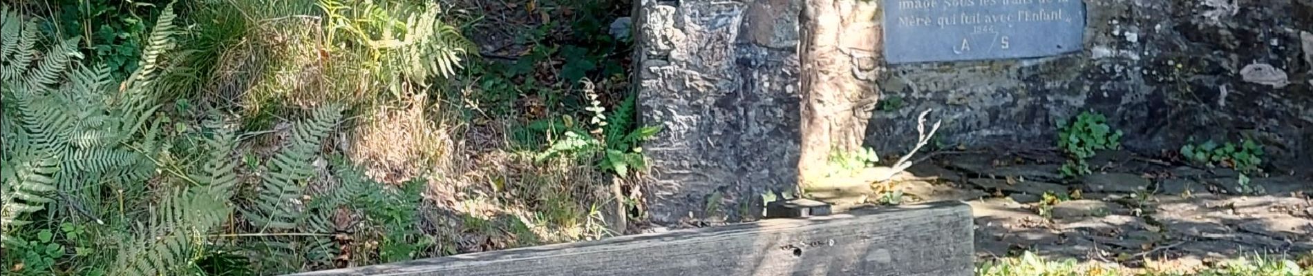 Randonnée Marche Bièvre - Oizy boucle de 20 km - Photo