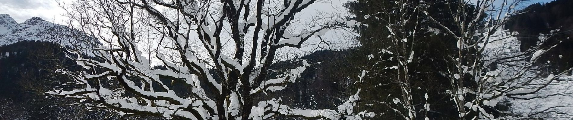 Percorso A piedi Oberstdorf - B - Winterwanderung ins Stillachtal - Photo
