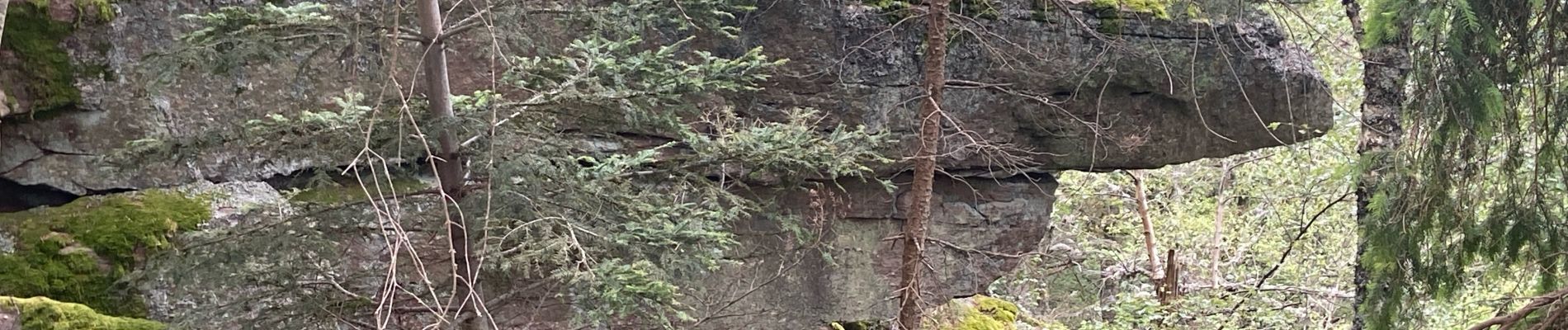 Percorso  Ribeauvillé - Grande verrerie - Rocher des Géants  - Photo