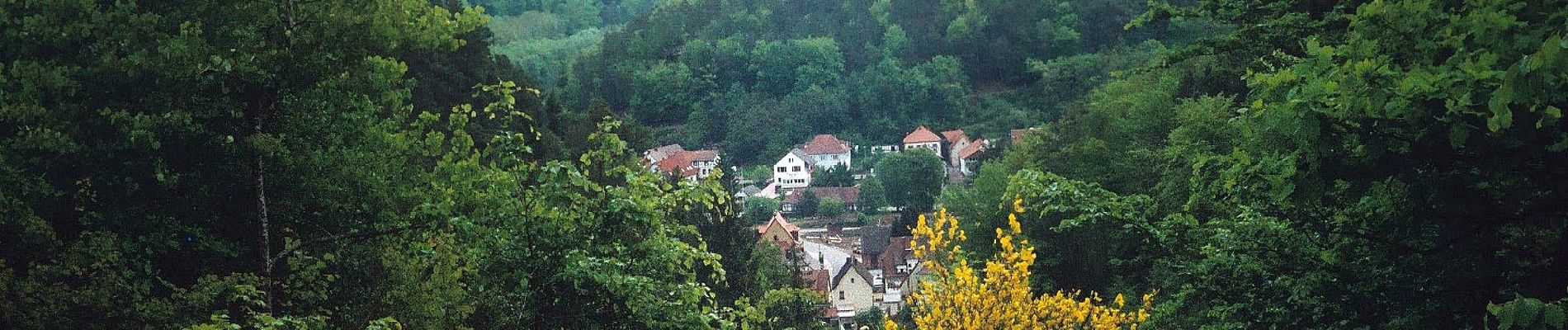 Tocht Te voet Hinterweidenthal - Hinterweidenthaler Teufelstisch-Tour - Photo