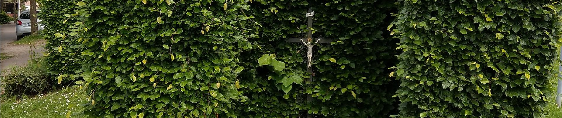 Tour Zu Fuß Eupen - Langes - 4.5 Km - Photo