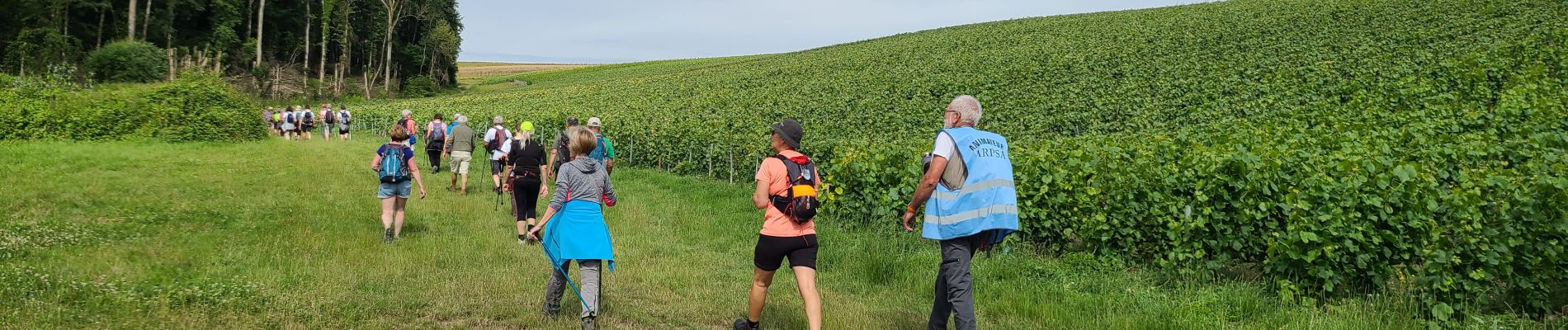 Excursión Senderismo Château-Thierry - Rando-matin BRIC du 07-07-2024 - Photo