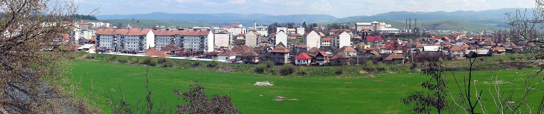 Tocht Te voet Toplița - RO-blue stripe - Photo