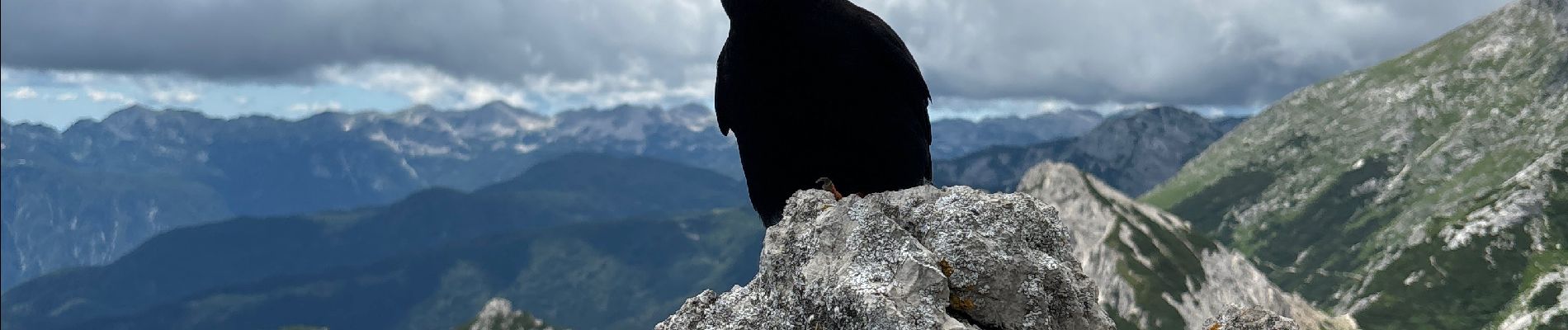 Randonnée Marche Bohinj - Visevnik - Photo