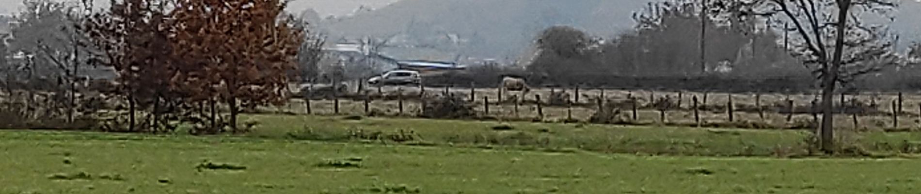 Tocht Stappen Saint-Romain-le-Puy - precieux - Photo