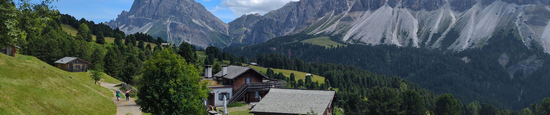 Trail Walking Brixen - Bressanone - Plose - Schatzerhütte - Photo